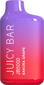 Load image into Gallery viewer, Juicy Bar JB5000 Disposable Vape - 10ct | 1 Box
