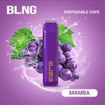 Load image into Gallery viewer, BLNG DISPOSABLE VAPE 3300 PUFFS THE ART OF VAPE
