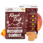 Load image into Gallery viewer, Road Trip-Mushroom Gummies-(8pcs)-1ct
