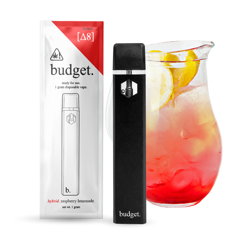 Budget-Ready For Use--1 Gram Delta-8- Disposable Vape- 10ct | 1 Box