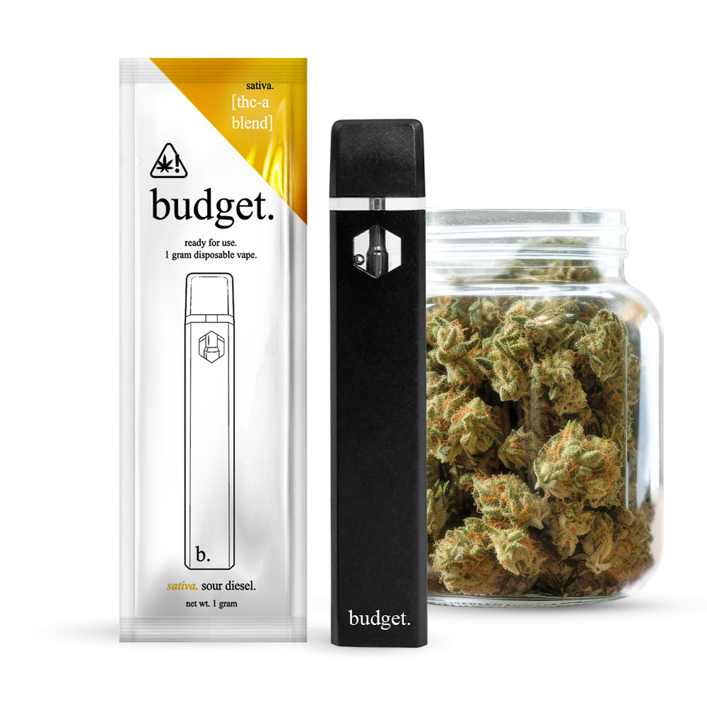 Budget-Ready For Use--1 Gram-THCA- Disposable Vape- 10ct | 1 Box